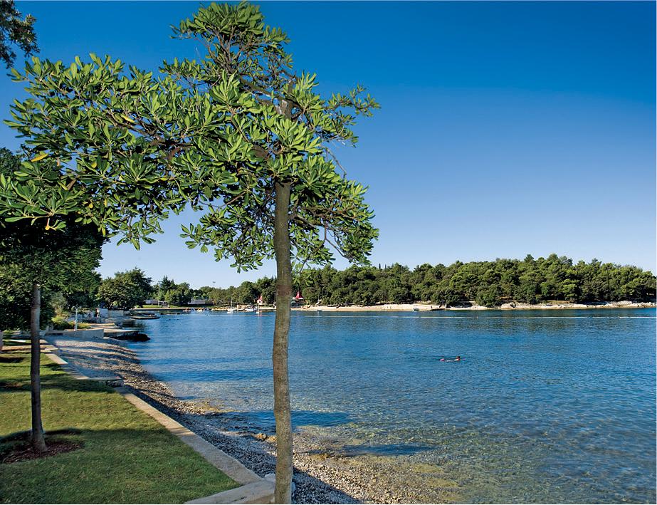 Hotel Zorna Plava Laguna Porec Exterior photo